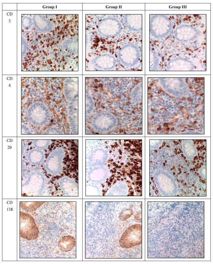 https://cdn.ncbi.nlm.nih.gov/pmc/blobs/6661/10886907/4880d2a8bcbd/biomedicines-12-00312-g003a.jpg