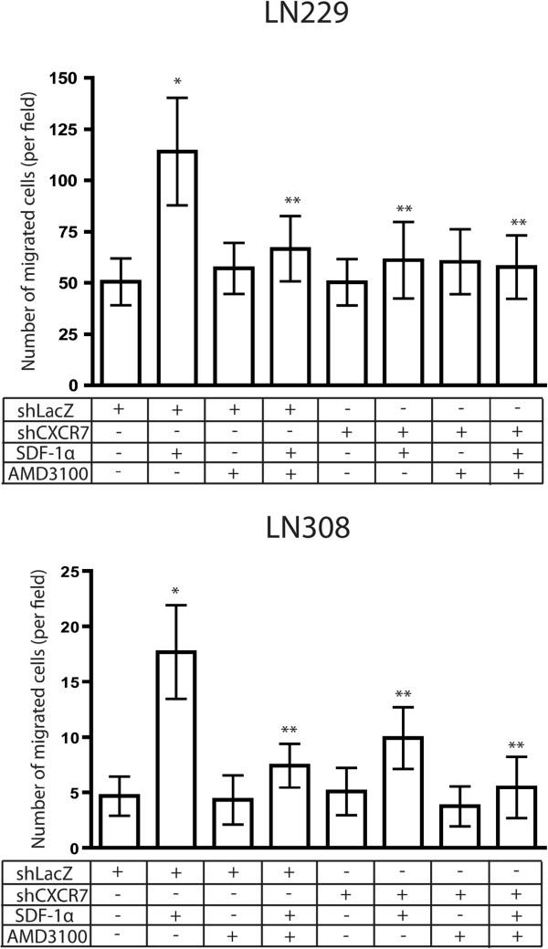 https://cdn.ncbi.nlm.nih.gov/pmc/blobs/6661/3728118/916272b0561b/1471-2407-13-347-3.jpg