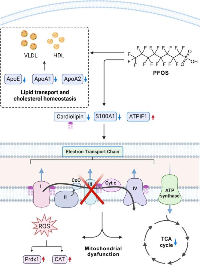 https://cdn.ncbi.nlm.nih.gov/pmc/blobs/6665/11800377/3f08b631b512/es4c09874_0005.jpg