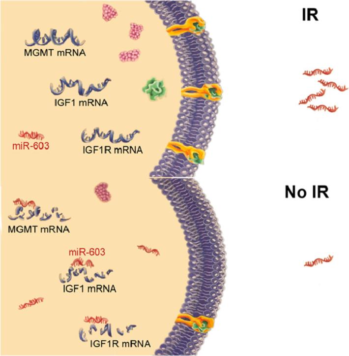 https://cdn.ncbi.nlm.nih.gov/pmc/blobs/6666/7195524/3cdce3ce0d6d/fx1.jpg