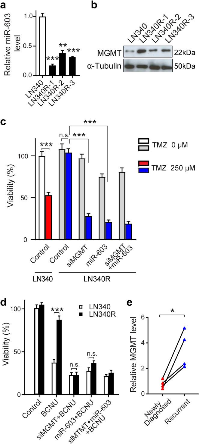 https://cdn.ncbi.nlm.nih.gov/pmc/blobs/6666/7195524/598a015f72dd/gr5.jpg