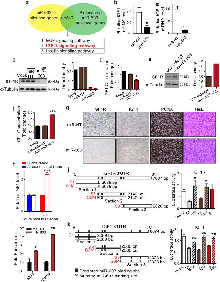 https://cdn.ncbi.nlm.nih.gov/pmc/blobs/6666/7195524/ac30b5dea97a/gr2.jpg