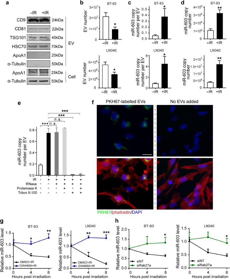 https://cdn.ncbi.nlm.nih.gov/pmc/blobs/6666/7195524/d5a46184213f/gr6.jpg