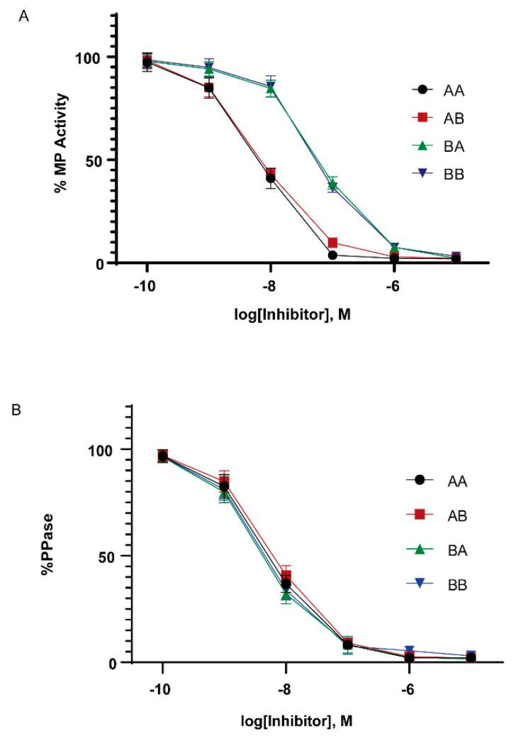 https://cdn.ncbi.nlm.nih.gov/pmc/blobs/6666/7460850/58d32dec9b8d/ijms-21-05709-g006.jpg