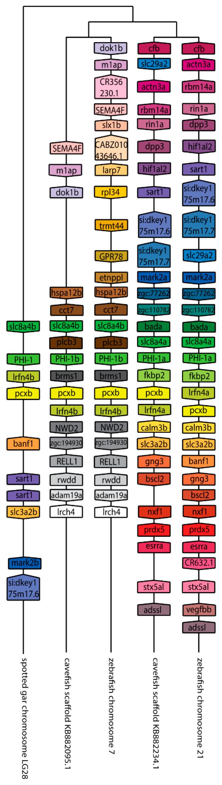 https://cdn.ncbi.nlm.nih.gov/pmc/blobs/6666/7460850/7103d6a82324/ijms-21-05709-g004.jpg