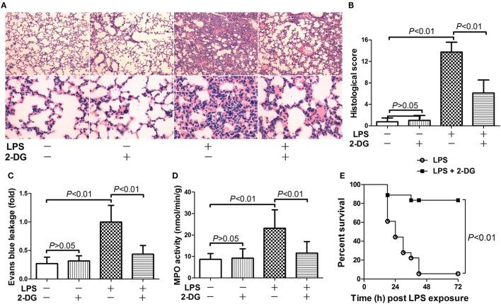 https://cdn.ncbi.nlm.nih.gov/pmc/blobs/6667/5840172/844766a1f89e/fimmu-09-00426-g001.jpg