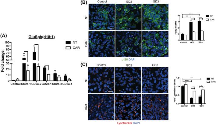 https://cdn.ncbi.nlm.nih.gov/pmc/blobs/6669/8235124/55357961e523/SCT3-10-1081-g002.jpg