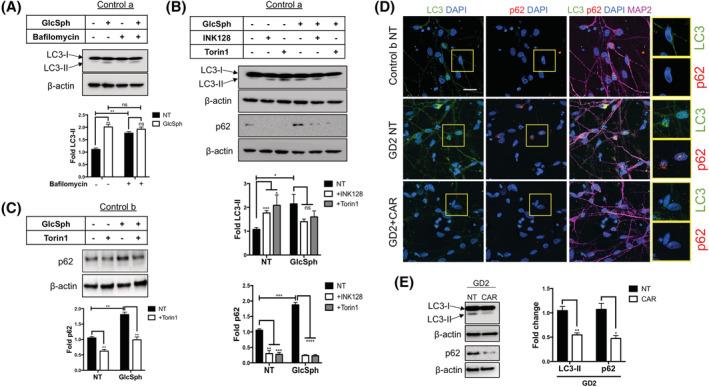 https://cdn.ncbi.nlm.nih.gov/pmc/blobs/6669/8235124/6a85e5d7947b/SCT3-10-1081-g008.jpg
