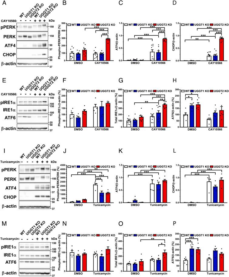 https://cdn.ncbi.nlm.nih.gov/pmc/blobs/6669/9907099/729c67262997/pnas.2214957119fig01.jpg
