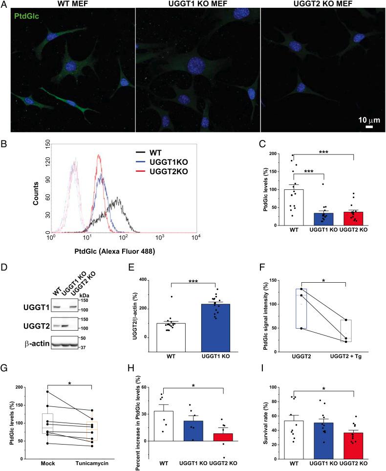 https://cdn.ncbi.nlm.nih.gov/pmc/blobs/6669/9907099/aed644d2ce62/pnas.2214957119fig03.jpg