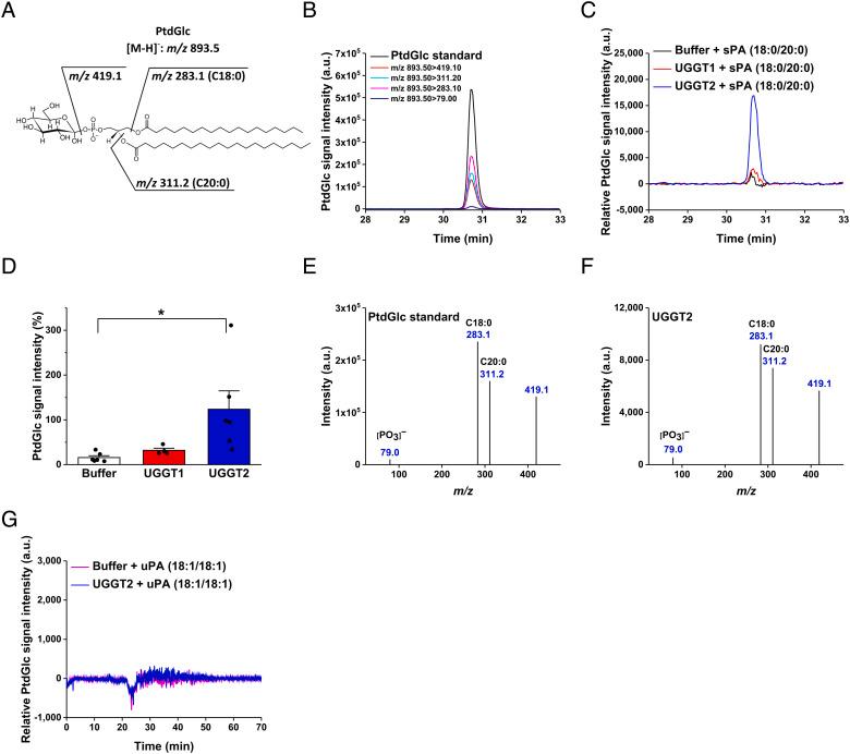 https://cdn.ncbi.nlm.nih.gov/pmc/blobs/6669/9907099/d1ae934f9ad9/pnas.2214957119fig02.jpg