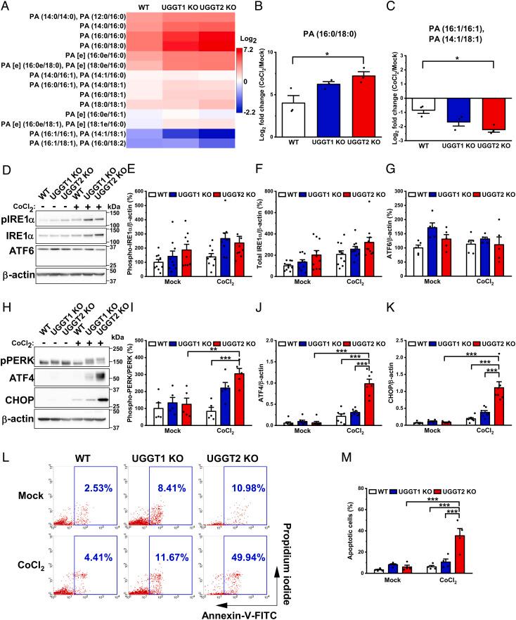 https://cdn.ncbi.nlm.nih.gov/pmc/blobs/6669/9907099/e1e6cfc1e31f/pnas.2214957119fig05.jpg
