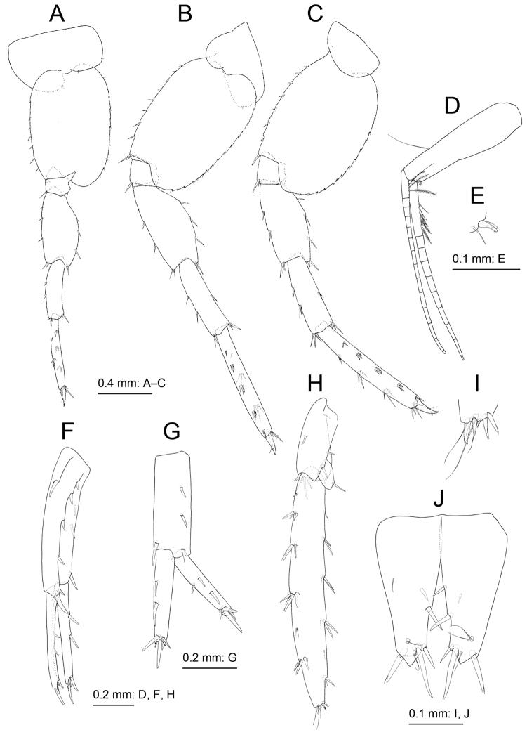 https://cdn.ncbi.nlm.nih.gov/pmc/blobs/666a/5986893/03101b242b59/zookeys-760-073-g005.jpg