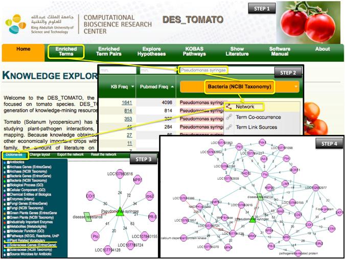 https://cdn.ncbi.nlm.nih.gov/pmc/blobs/666b/5519719/93b70c35e33e/41598_2017_5448_Fig2_HTML.jpg