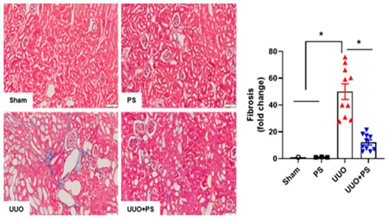 https://cdn.ncbi.nlm.nih.gov/pmc/blobs/666d/10487722/18665f842a2f/ijms-24-13171-g002.jpg