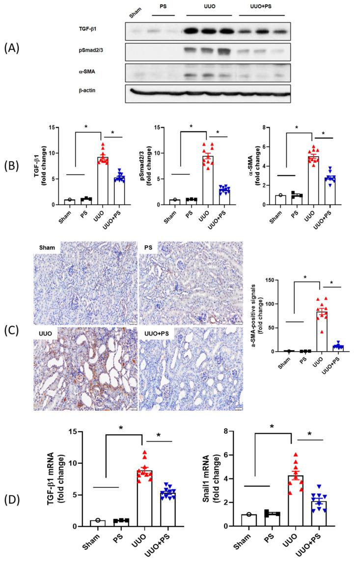 https://cdn.ncbi.nlm.nih.gov/pmc/blobs/666d/10487722/2aba25bf54c7/ijms-24-13171-g006.jpg