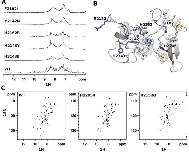 https://cdn.ncbi.nlm.nih.gov/pmc/blobs/666d/4838375/5191c7a4ed74/gkw103fig2.jpg