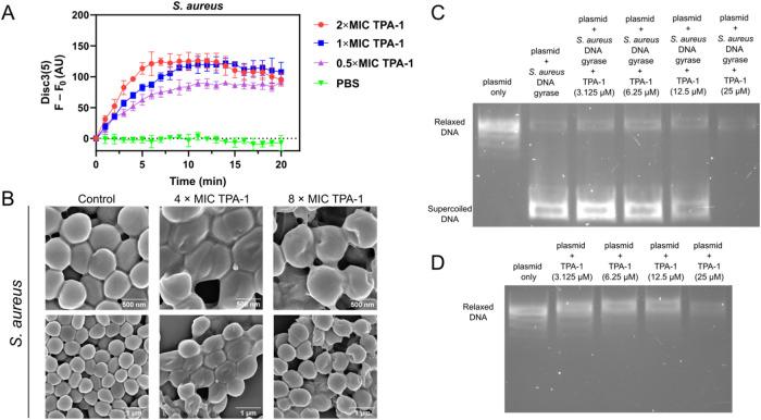 https://cdn.ncbi.nlm.nih.gov/pmc/blobs/6670/12035805/7522c610cebf/jm5c00403_0004.jpg