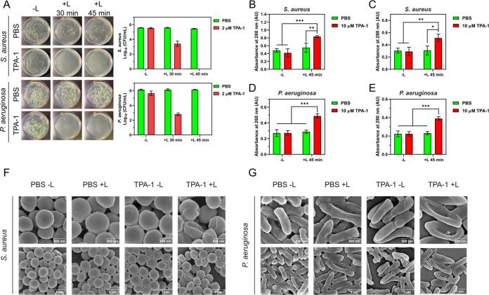 https://cdn.ncbi.nlm.nih.gov/pmc/blobs/6670/12035805/7cc9be672d17/jm5c00403_0006.jpg