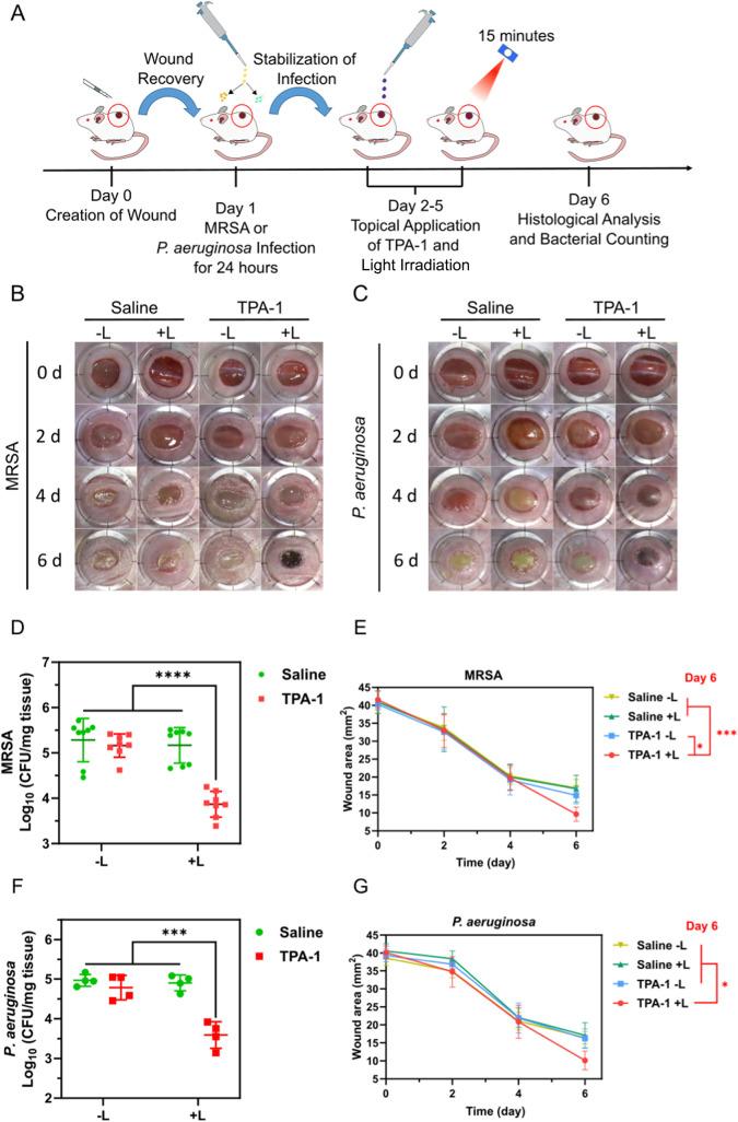 https://cdn.ncbi.nlm.nih.gov/pmc/blobs/6670/12035805/a2620ea7c669/jm5c00403_0009.jpg