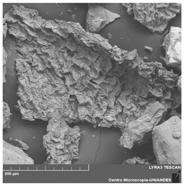 https://cdn.ncbi.nlm.nih.gov/pmc/blobs/6671/10575443/da12cf963cd5/polymers-15-03996-g002.jpg