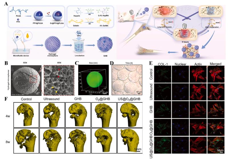 https://cdn.ncbi.nlm.nih.gov/pmc/blobs/6672/12281159/900ef1213c67/gr9.jpg