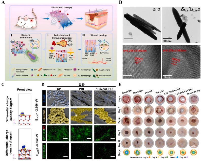 https://cdn.ncbi.nlm.nih.gov/pmc/blobs/6672/12281159/cd113eee1671/gr6.jpg