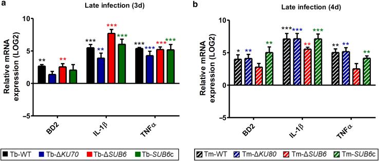 https://cdn.ncbi.nlm.nih.gov/pmc/blobs/6673/12099874/e72ef682b5a0/gr3.jpg