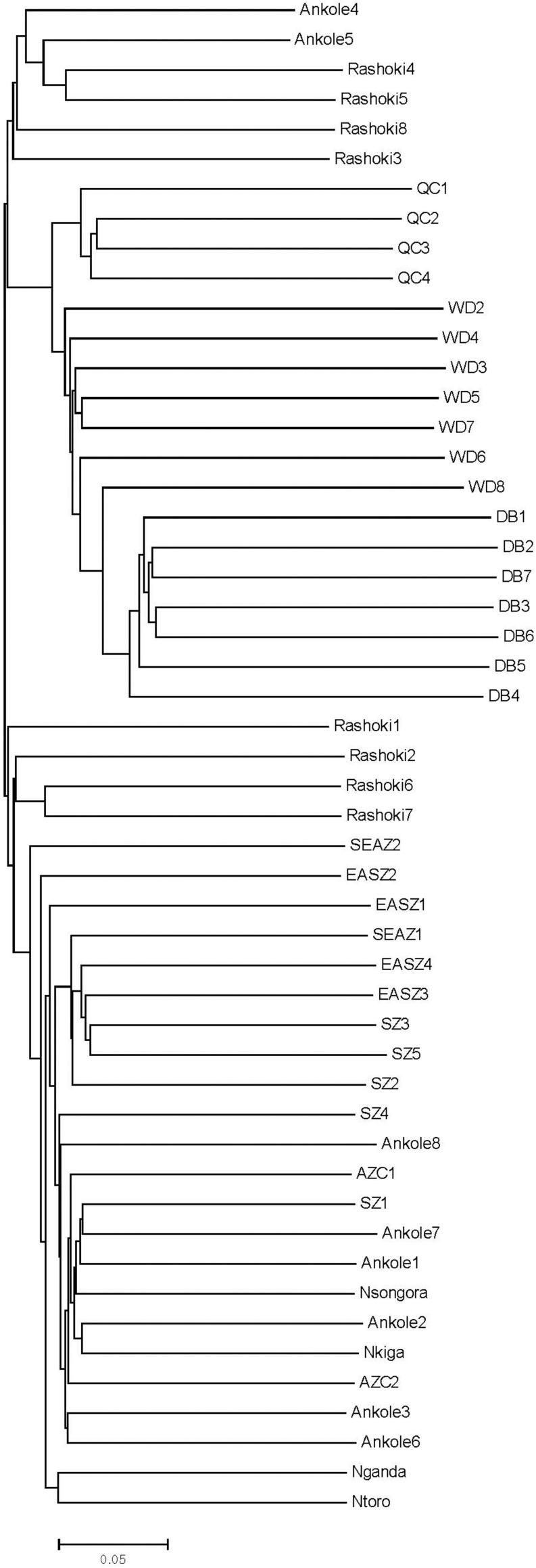 https://cdn.ncbi.nlm.nih.gov/pmc/blobs/6674/7670488/52ab80a1628b/fgene-11-562855-g003.jpg