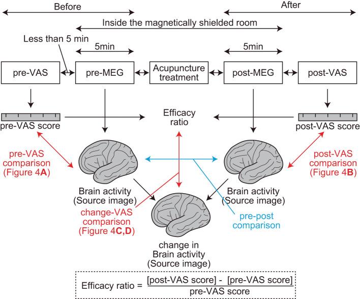 https://cdn.ncbi.nlm.nih.gov/pmc/blobs/6674/9159800/9d4c1dd28ea8/fpain-03-869884-g0001.jpg