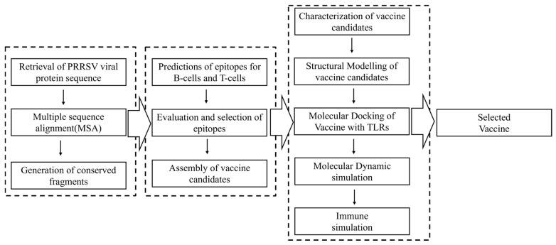 https://cdn.ncbi.nlm.nih.gov/pmc/blobs/6676/12197703/53b19f90f6cb/vetsci-12-00577-g001.jpg