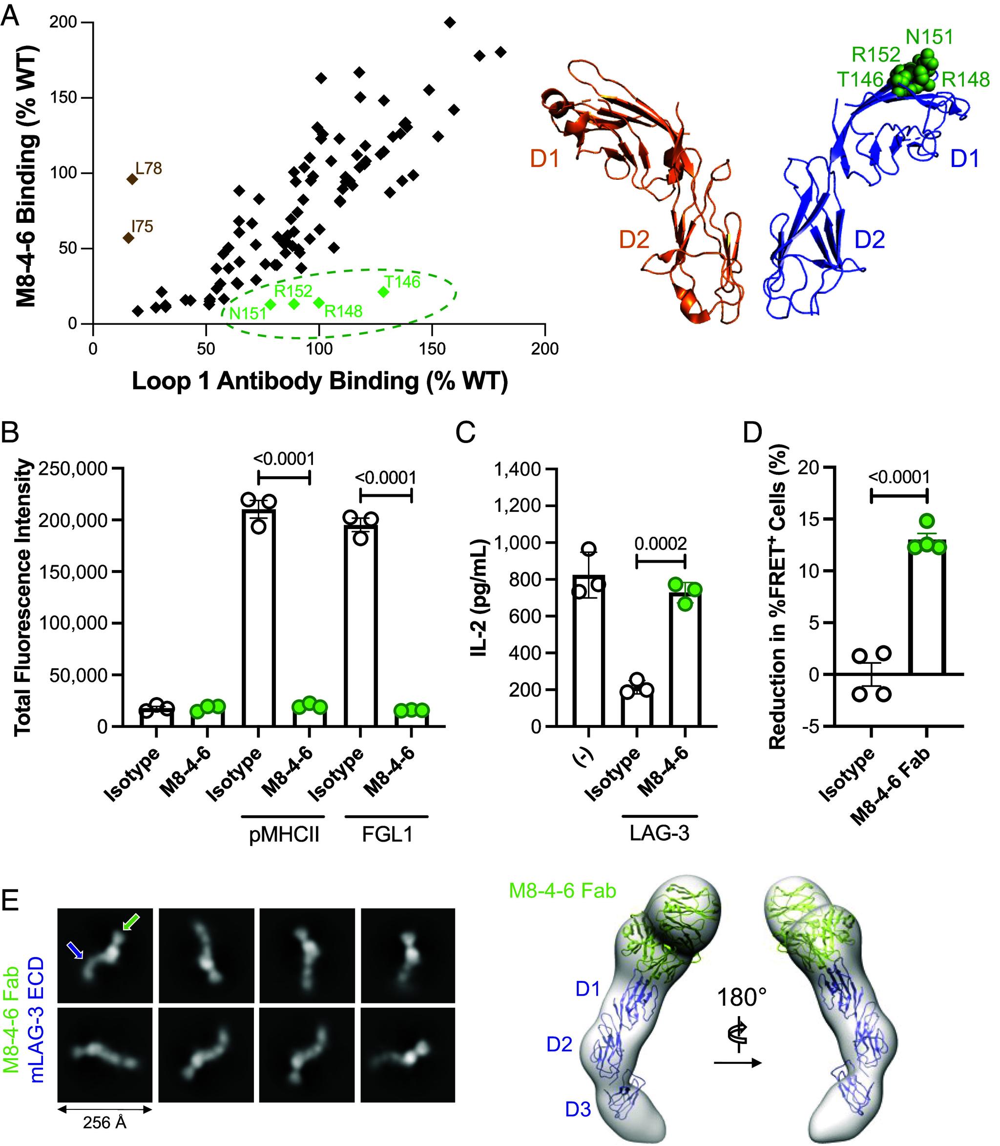 https://cdn.ncbi.nlm.nih.gov/pmc/blobs/6678/10962948/4deaa36472e6/pnas.2310866121fig05.jpg