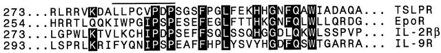 https://cdn.ncbi.nlm.nih.gov/pmc/blobs/6678/2193276/220d71de390a/JEM992102.f3b.jpg
