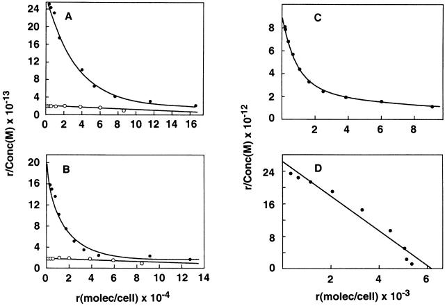 https://cdn.ncbi.nlm.nih.gov/pmc/blobs/6678/2193276/9a28cbbbc536/JEM992102.f5.jpg