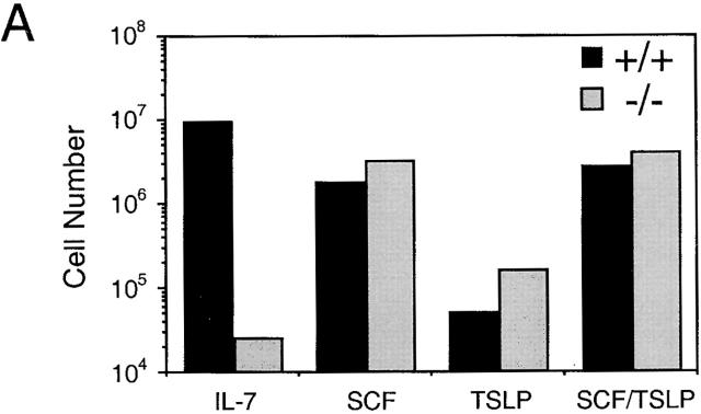 https://cdn.ncbi.nlm.nih.gov/pmc/blobs/6678/2193276/fe3055edcd87/JEM992102.f8a.jpg
