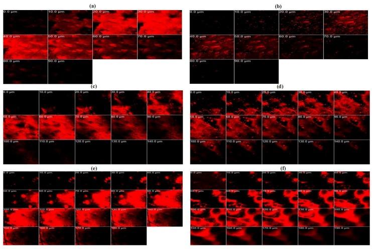 https://cdn.ncbi.nlm.nih.gov/pmc/blobs/6678/6017338/c6b6e248f62a/molecules-23-00982-g007.jpg