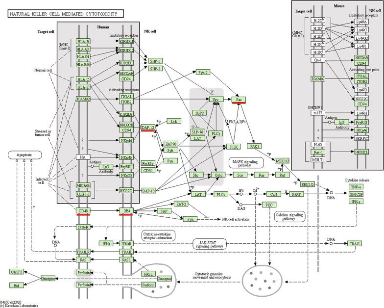 https://cdn.ncbi.nlm.nih.gov/pmc/blobs/6678/8628461/28ae9ae17479/12920_2021_1134_Fig5_HTML.jpg