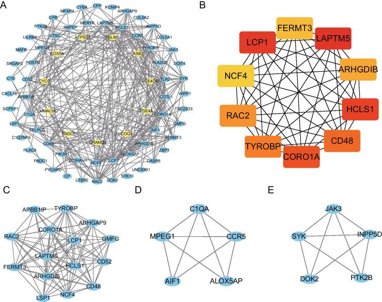 https://cdn.ncbi.nlm.nih.gov/pmc/blobs/6678/8628461/ff41c1ced15b/12920_2021_1134_Fig4_HTML.jpg
