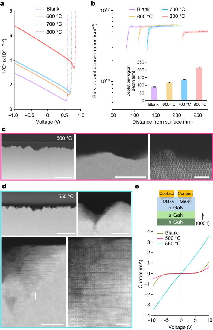 https://cdn.ncbi.nlm.nih.gov/pmc/blobs/667b/11222157/c8879d8ac00f/41586_2024_7513_Fig4_HTML.jpg