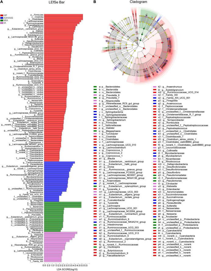 https://cdn.ncbi.nlm.nih.gov/pmc/blobs/667c/9237568/933f7afa8fd9/fmicb-13-918823-g006.jpg