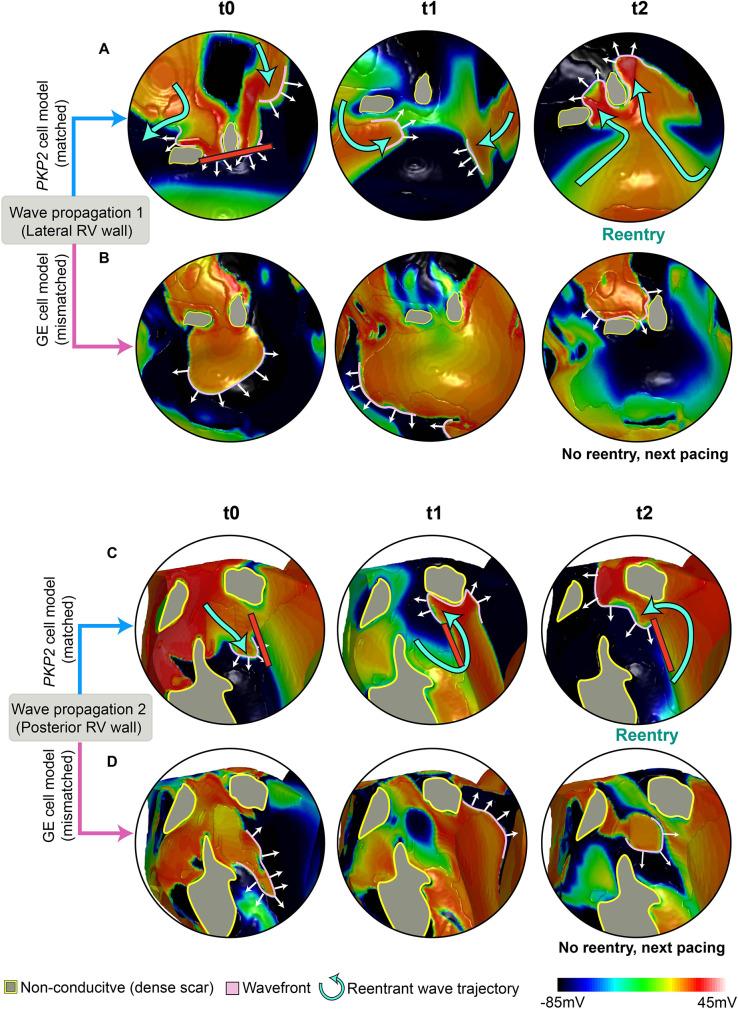 https://cdn.ncbi.nlm.nih.gov/pmc/blobs/667f/10584370/027cc57f1169/elife-88865-fig9.jpg