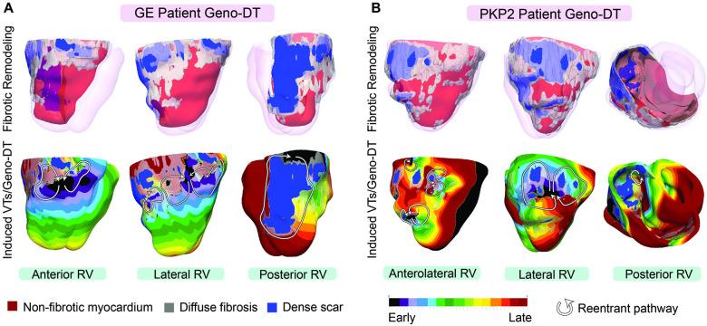 https://cdn.ncbi.nlm.nih.gov/pmc/blobs/667f/10584370/5dc1c4c882cc/elife-88865-fig7.jpg