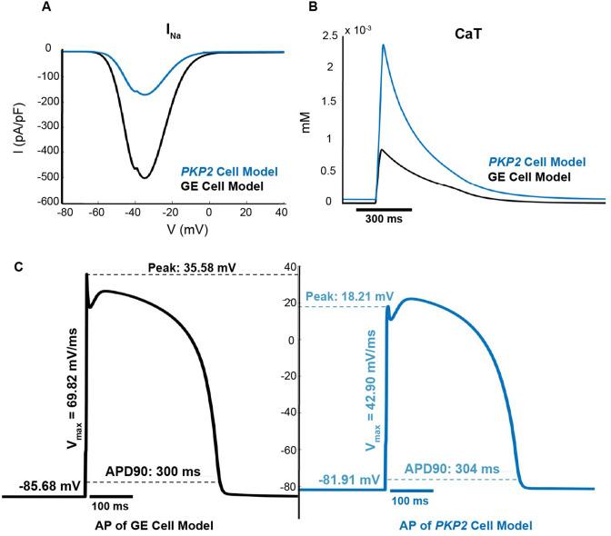 https://cdn.ncbi.nlm.nih.gov/pmc/blobs/667f/10584370/816bdcbecf13/elife-88865-fig2.jpg