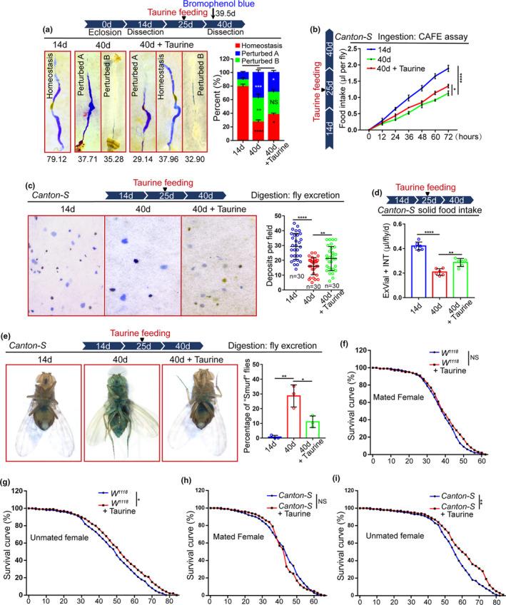 https://cdn.ncbi.nlm.nih.gov/pmc/blobs/667f/7963329/a0d2d28015a0/ACEL-20-e13319-g003.jpg