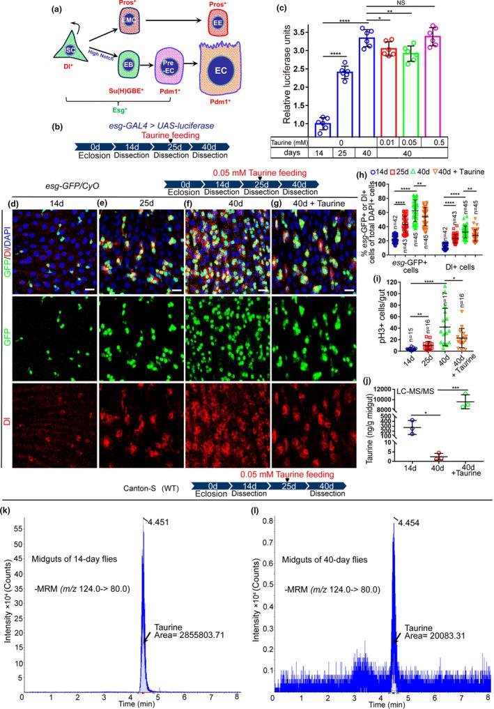 https://cdn.ncbi.nlm.nih.gov/pmc/blobs/667f/7963329/b75239d8c6d0/ACEL-20-e13319-g005.jpg