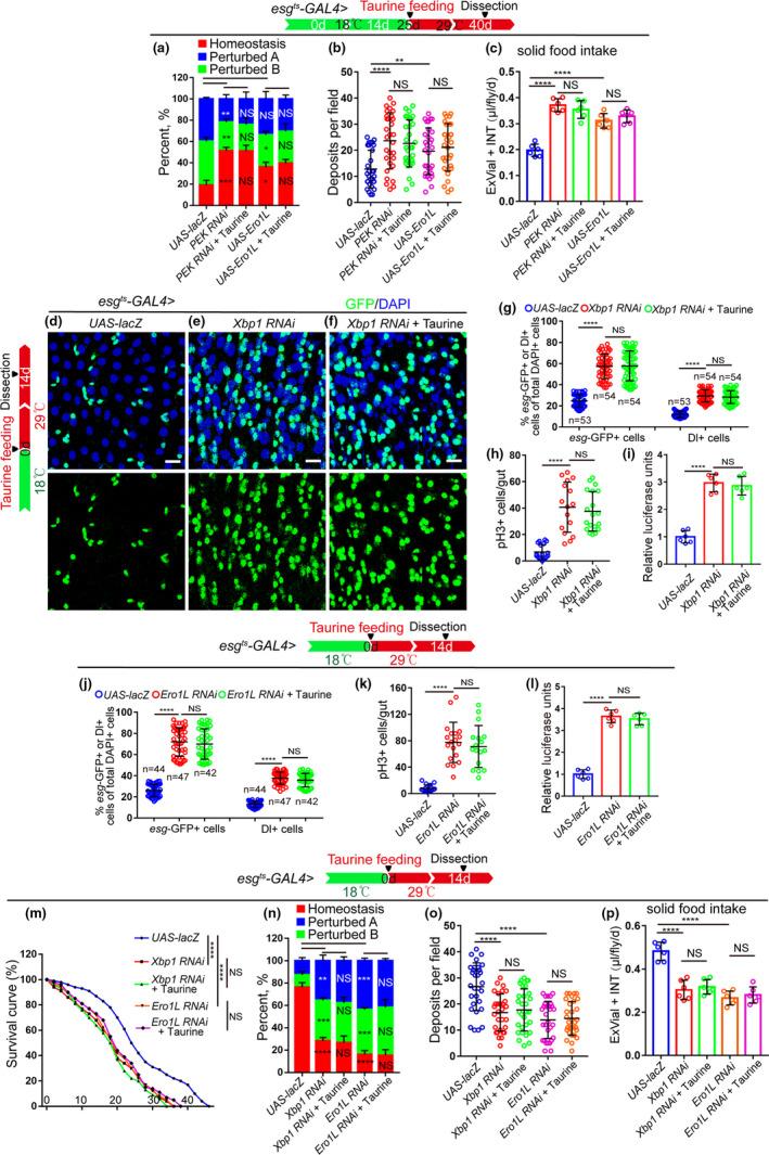 https://cdn.ncbi.nlm.nih.gov/pmc/blobs/667f/7963329/edde57ae559e/ACEL-20-e13319-g007.jpg