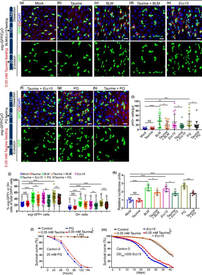 https://cdn.ncbi.nlm.nih.gov/pmc/blobs/667f/7963329/f569b8229228/ACEL-20-e13319-g004.jpg