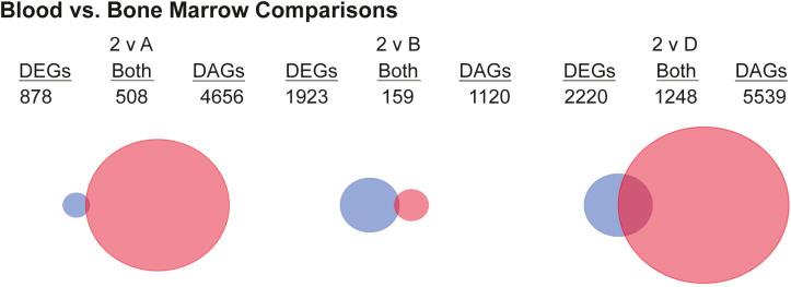https://cdn.ncbi.nlm.nih.gov/pmc/blobs/667f/8739272/1e7b1bcb053e/LSA-2021-01285_FigS3.jpg
