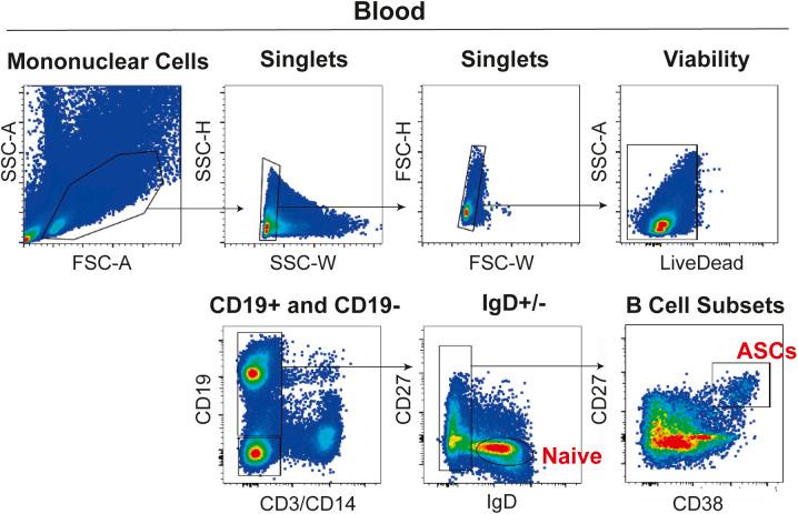https://cdn.ncbi.nlm.nih.gov/pmc/blobs/667f/8739272/a3838b446ddf/LSA-2021-01285_FigS6.jpg