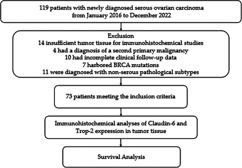 https://cdn.ncbi.nlm.nih.gov/pmc/blobs/6680/12212836/4f497b50236e/medi-104-e43110-g001.jpg